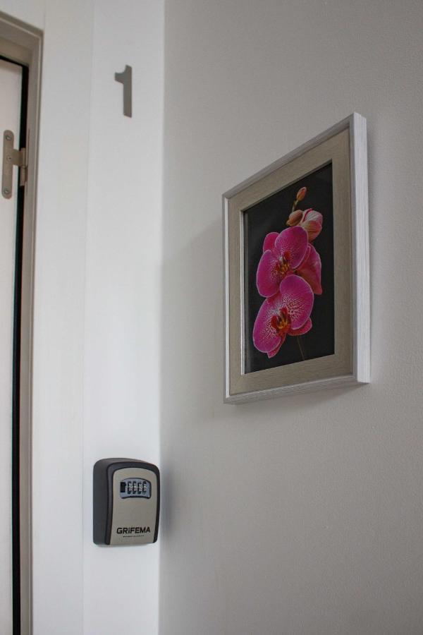 Flor&Fidalgo Guest House Sintra Exterior foto